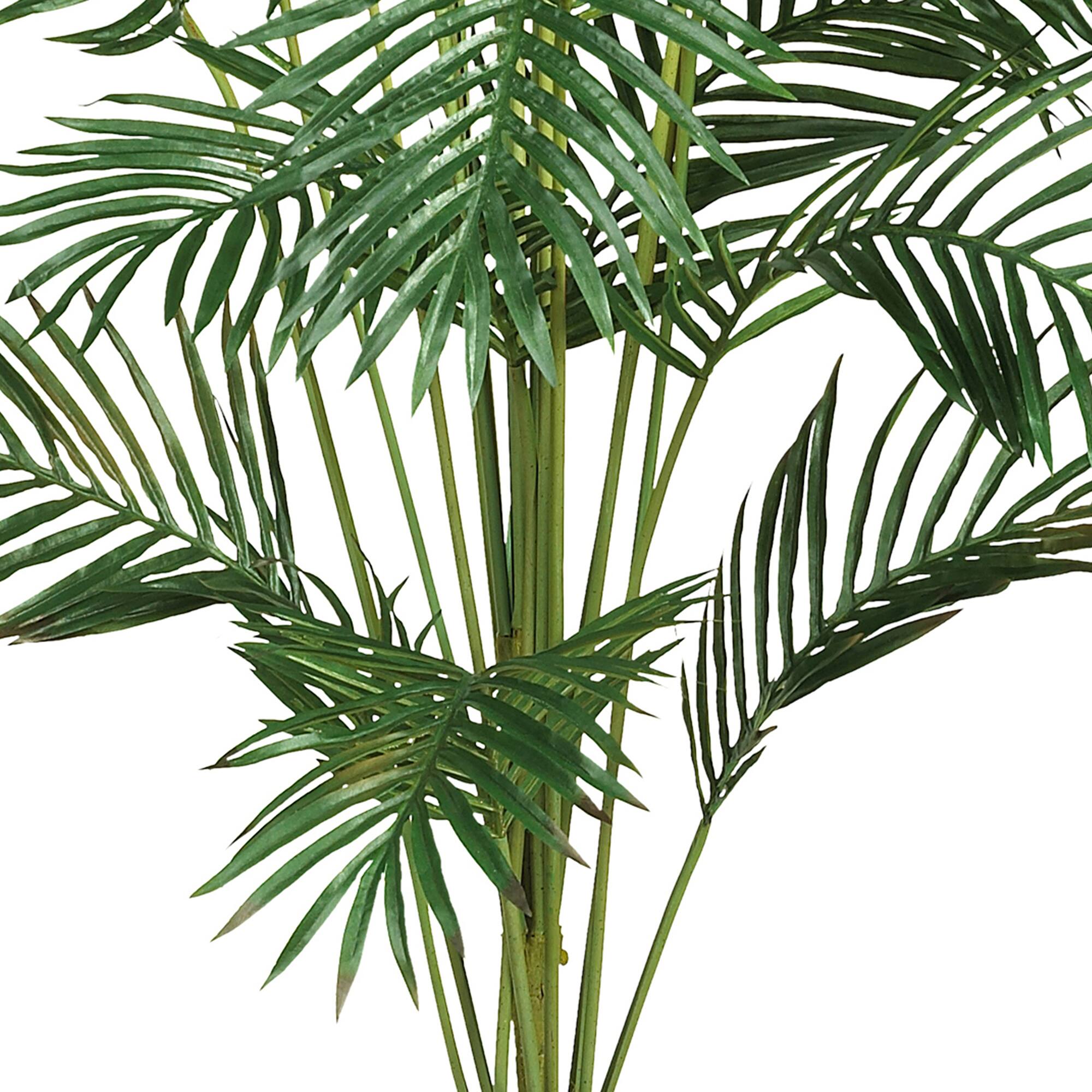 7ft. Potted Paradise Palm